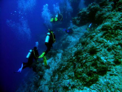Some of our group on Santa Rosa Wall - Cozumel - Nikon 54... by James Ridgway 